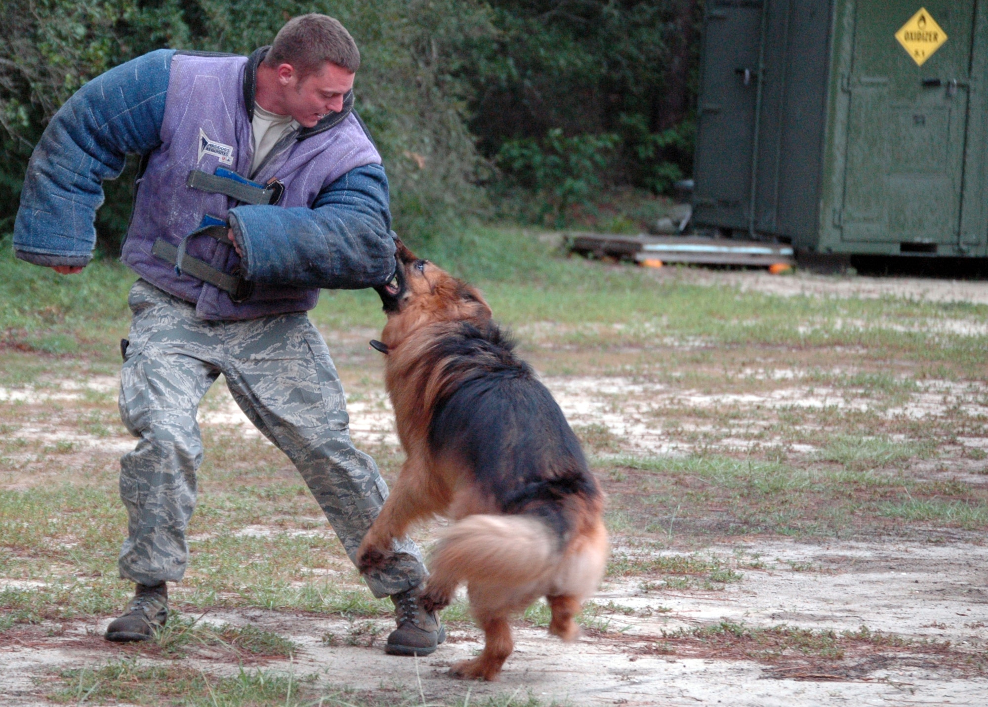EGLIN AIR FORCE BASE, Fla. -- Max, retired US Air Force military working dog, 96th SFS, attacks MWD trainer Staff Sgt. James Richey, 96th SFS. Max will be honored at the Military Working Dog Memorial/Retirement ceremony Aug. 1 at the Air Armament Center. (US Air Force photo/ Airman 1st Class Anthony Jennings) 
