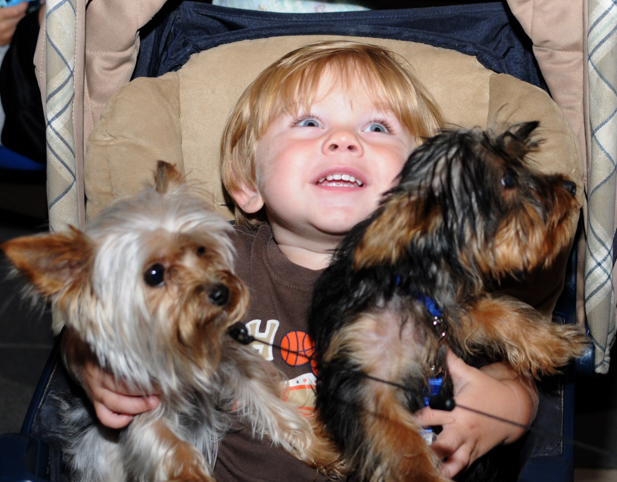 One-year-old Derek Hale holds his pets, Gracie, left, and Rex during the Strut Your Mutt contest Friday at Vandenberg Community Center.  The Yorkshire terriers competed in the smallest dog category, and Gracie came in second.  Derek’s parents are Staff Sgt. David and Linda Hale.  Sergeant Hale,  an instructor in the 335th Training Squadron, is a member of Keesler’s Marine Corps Detachment.
(U.S. Air Force photo by Kemberly Groue)