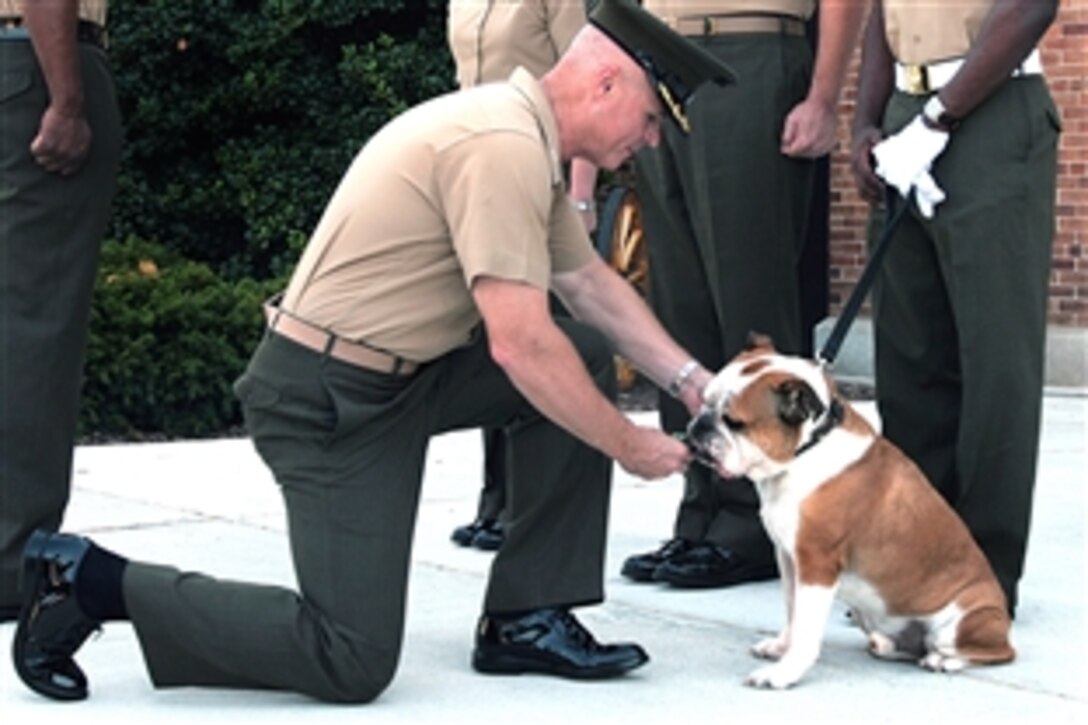U.S. Marine Corps Col. W. Blake Crowe pins the Navy and Marine Corps Achievement Medal on Sgt. Chesty XII, the former barracks mascot, during his retirement ceremony in Washington, July 25, 2008. Crowe is the commanding officer of Marine Barracks Washington.