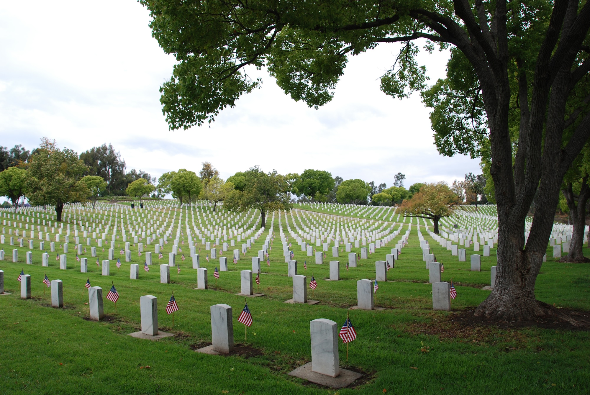 In a tribute to veterans, graves at the Los Angeles National Cemetery were decorated with flags on Memorial Day, May 16. (Photo courtesy of the Greater Los Angeles VA)