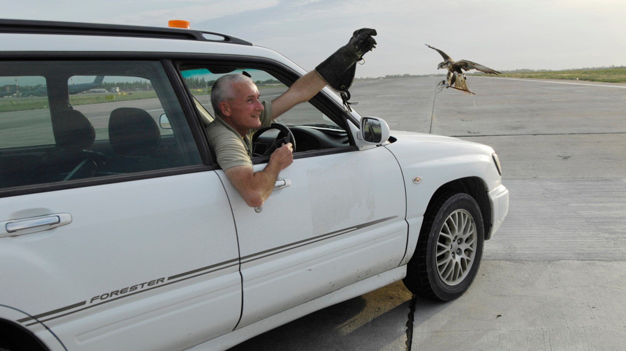 (08-05-31)  MANAS AB, KYRGYZSTAN -- Mr. Steve Farrell, PhoenixBird lead contractor and Mustang's trainer, sends Mustang out on another flight.  Mustang flies at daybreak and dusk hours to help clear the airspace for aircraft launching and recovering here in support of operations in Afghanistan. (U.S. Air Force/ Staff Sgt. Tabitha Kuykendall) (Released)