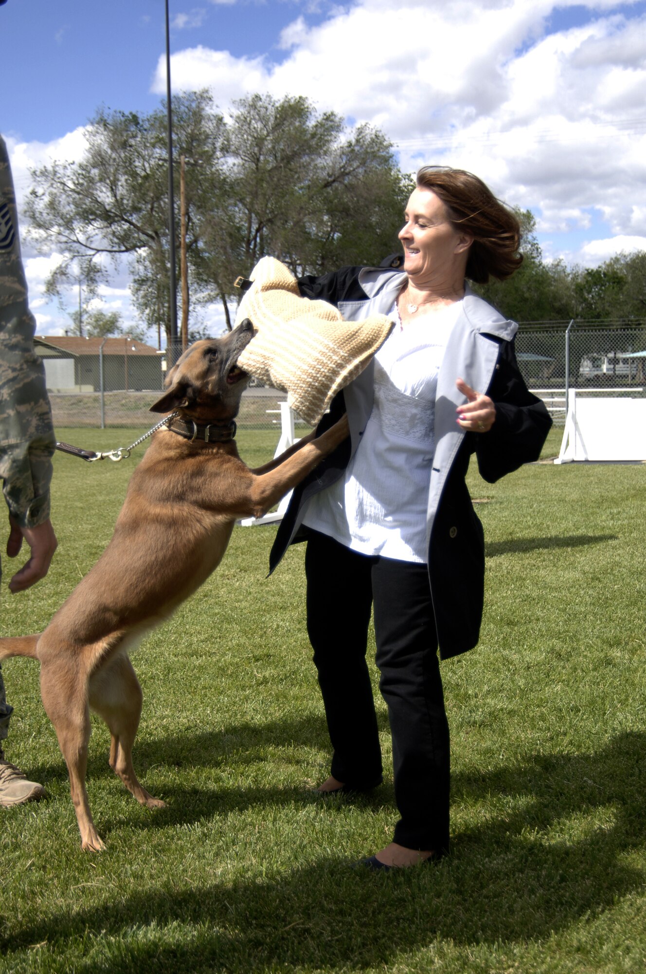 MOUNTAIN HOME AIR FORCE BASE, Idaho - Barb Fogleman, 389th Fighter Squadron honorary commander, volunteers to be "attacked" by a military working dog during a tour of the 366th Mission Support Squadron June 6. The 366th Fighter Wing honorary commanders program pairs together civic leaders with squadron, group and wing leaders to enhances relationships between local communities and the base. It also provides a rare glimpse of life on a military installation to members of neighboring communities - many of whom have no connection to the Air Force or prior knowledge of the military. (U.S. Air Force photo/ Staff Sgt. Rodney D. Ivey)