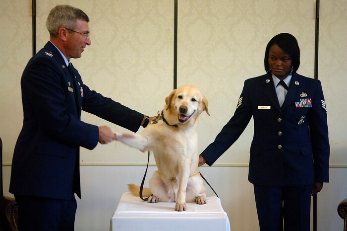 Col. Frank Jones shakes Liz's paw during her retirement ceremony on Charleston Air Force Base, S.C., June 10, 2008. Colonel Jones is the 437th Mission Support Group commander and Liz is a military working dog who has served in the 437th Security Forces Squadron for 10 years and has been on a multitude of temporary duty assignments to include Greece, Saudi Arabia and Iraq. also went on seven different Secret Service and Department of State missions to protect President Bush and President Clinton. (U.S. Air Force photo/Senior Airman Nicholas Pilch)