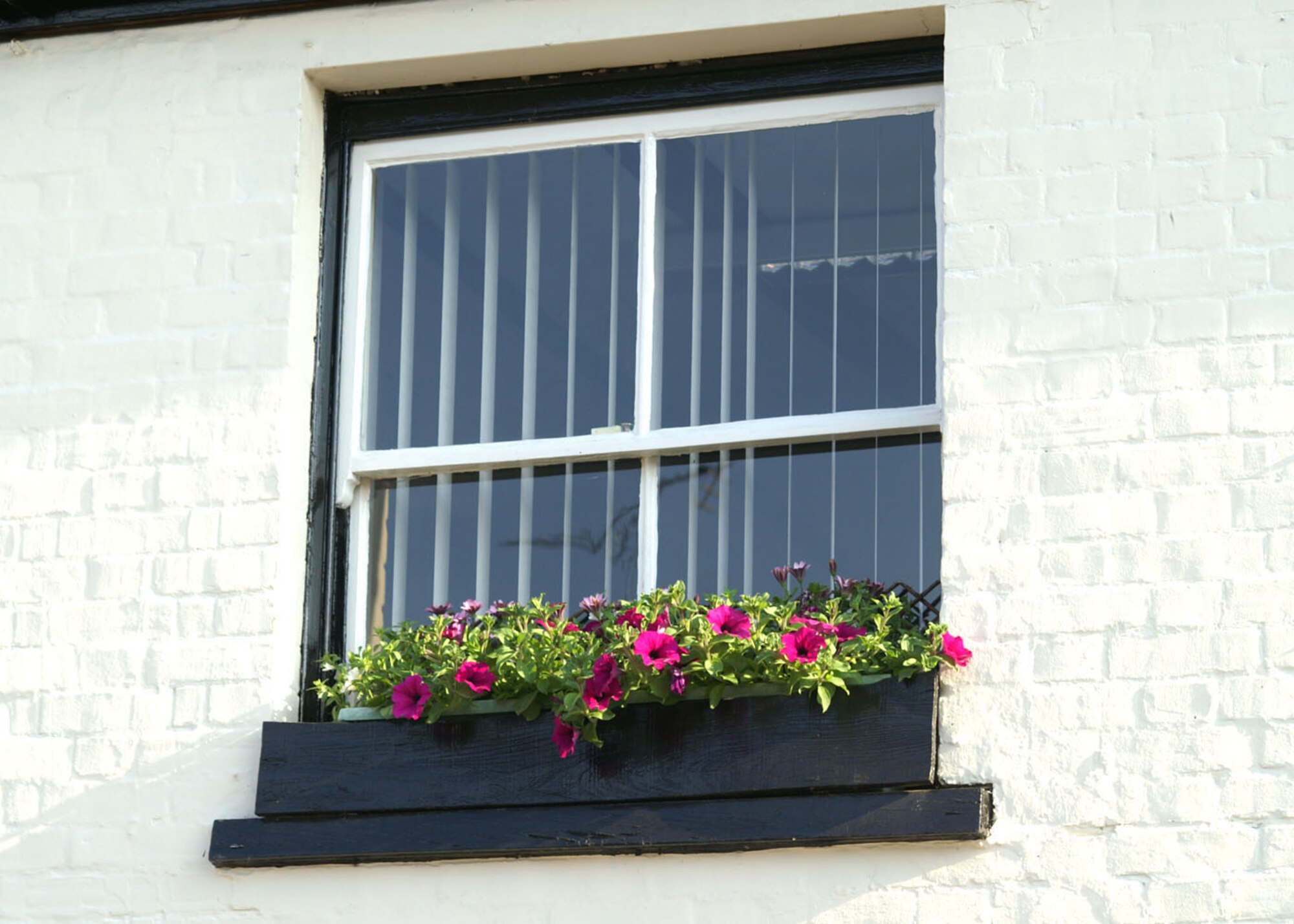 For those with no garden there's always the window box. (U.S. Air Force photo by Judith Wakelam)