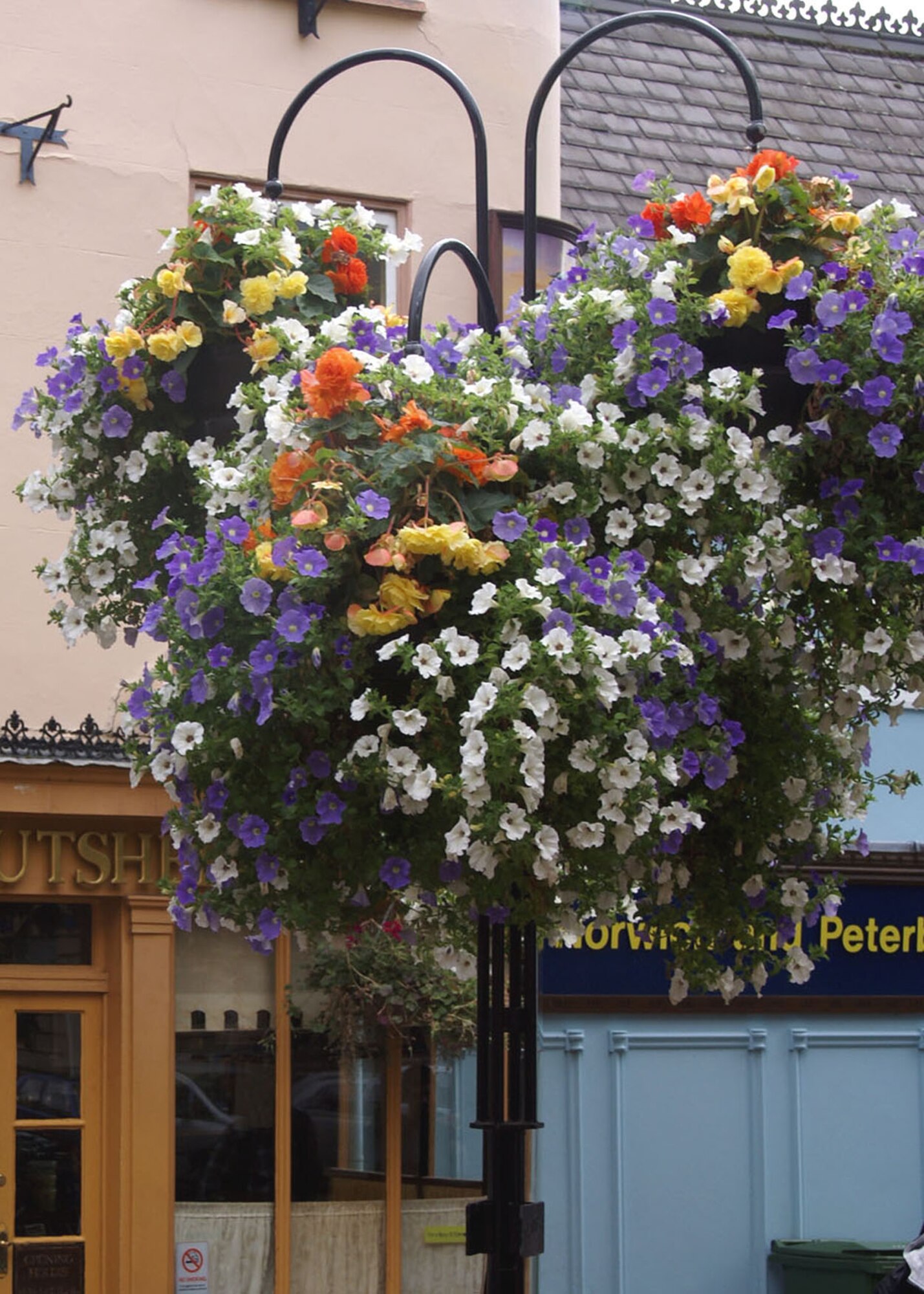 Hanging baskets give a  wonderful splash of color. (U.S. Air Force photo by Judith Wakelam)