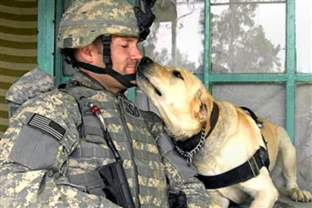 A U.S. Army soldier and his military dog, Lucky, take a break during a cordon and search in Mosul, Iraq, June 8, 2008. The Military Working Dog team assisted with the cordon and search to find weapon caches and bomb paraphernalia. 
