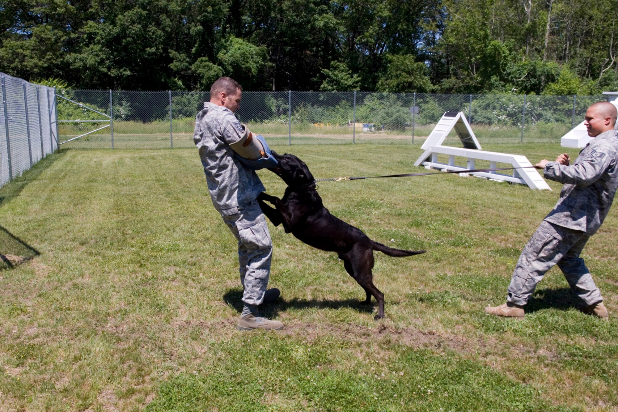 HANSCOM AFB, Mass. -- Tech. Sgt. Timothy J. Brady, 66th Security Forces Squadron kennel master, (left) and Staff Sgt. Jeffrey P. Tomkiewicz, 66th Security Forces Squadron military working dog handler (right), perform a MWD demonstration June 13. The demo was part of the 66th Air Base Wing’s portion of the Electronic Systems Center Commander’s Welcome June 13. Base newcomers received briefings and information from each wing, in addition to a base tour. (U.S. Air Force photo by Rick Berry.)