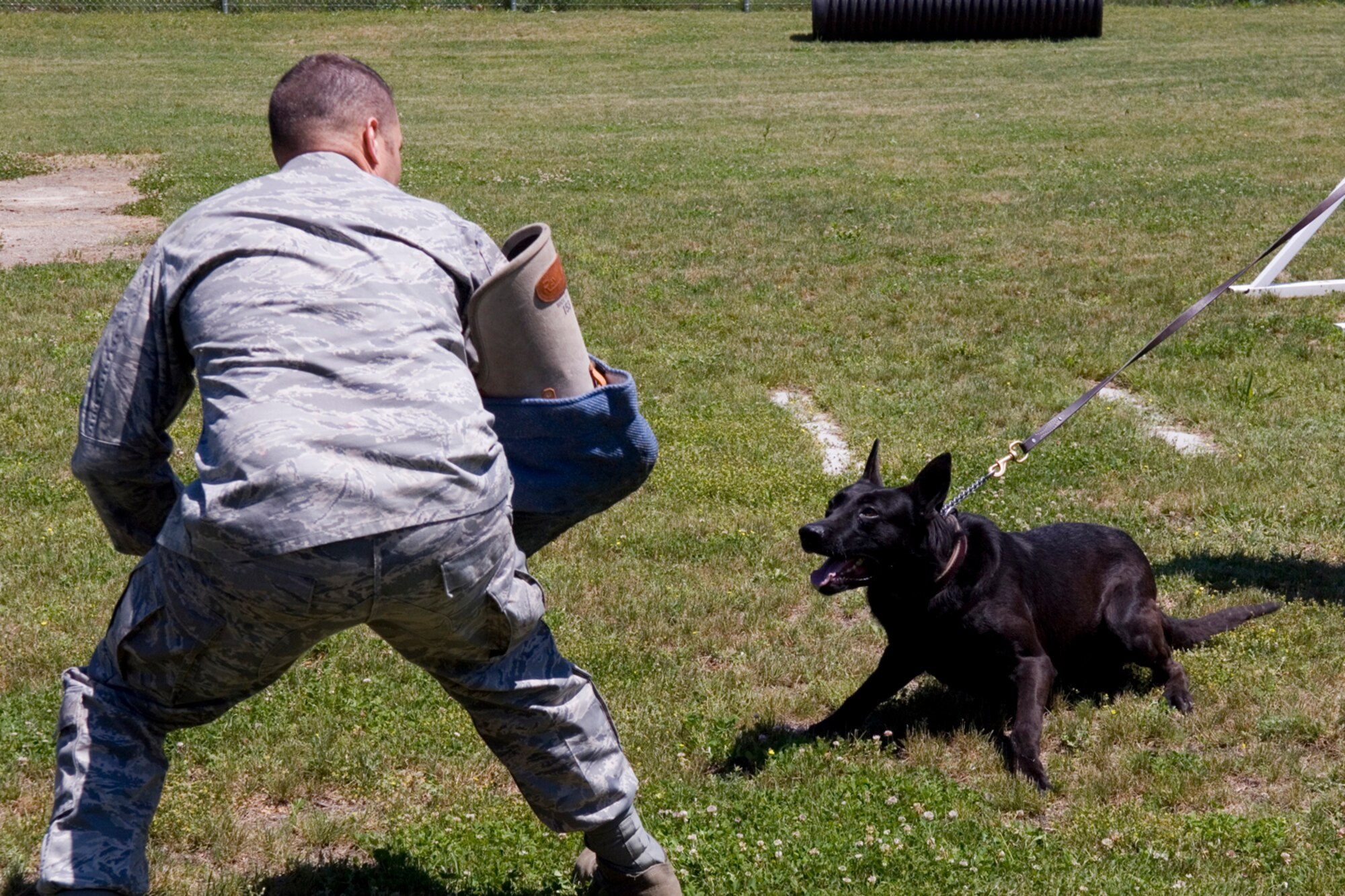 HANSCOM AFB, Mass. -- Tech. Sgt. Timothy J. Brady, 66th Security Forces Squadron kennel master, acts as a decoy for Military Working Dog Max, a 6 year old Belgian Malinois, during a MWD demonstration. The demo was part of the 66th Air Base Wing’s portion of the Electronic Systems Center Commander’s Welcome June 13. Base newcomers received briefings and information from each wing, in addition to a base tour. (U.S. Air Force photo by Rick Berry.)