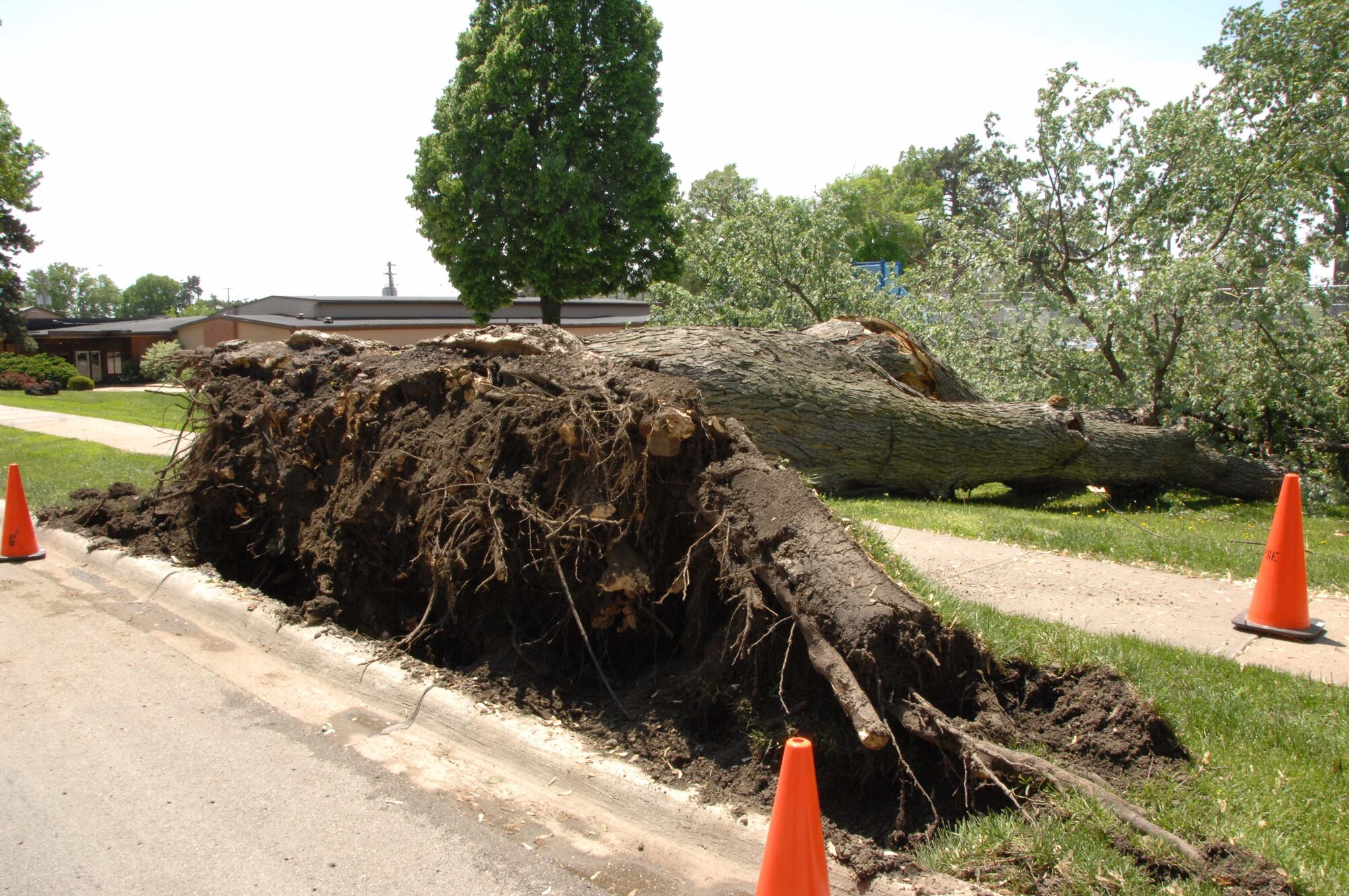 High winds and soggy ground contributed to the toppling of eight trees, some as tall as 60 feet, at Offutt May 22 and 23. According to the 55th Operations Support Squadron Weather Flight, winds May 22 peaked at 49 knots, or 56, mph, and May 23 at 63 knots, or 72 mph. Winds typically associated with a category 1 hurricane are 74 mph. In addition to the high winds, Offutt accumulated about 3.5 nches of rain May 23 through 27. All Offutt members are reminded we’re in the season of severe weather and they should plan accordingly. (U.S. Air Force Photo By/Dana Heard)