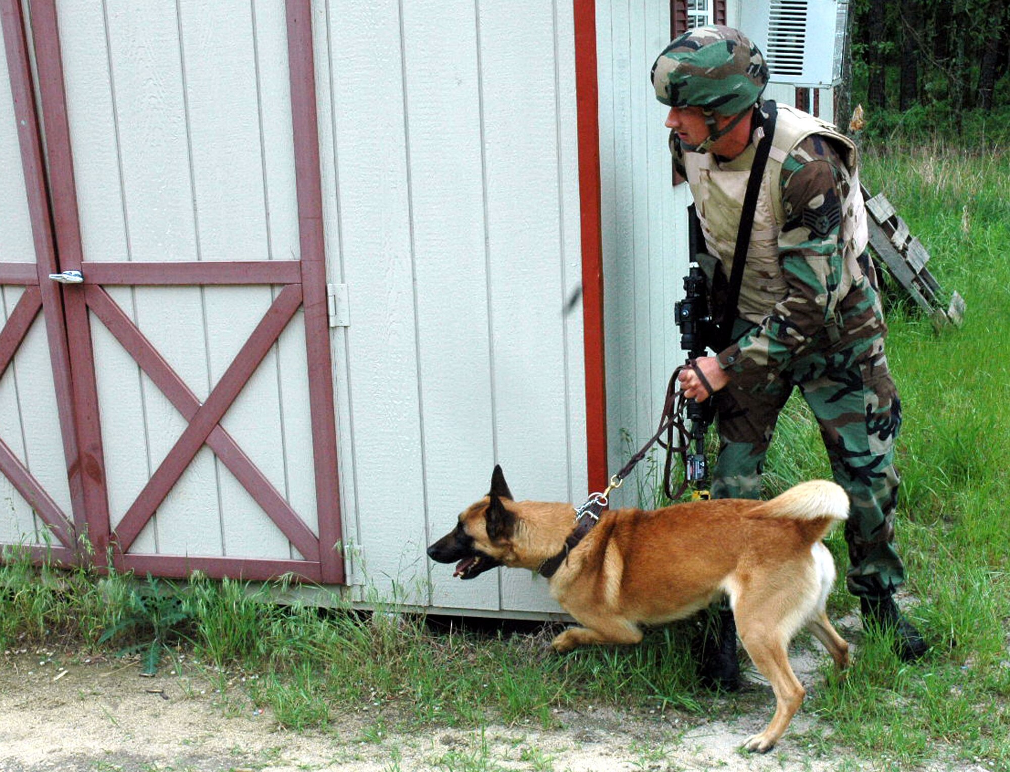 Staff Sgt. David Muldery and his military working dog, Erik, both from Hill Air Force Base, Utah, participate in canine military operations in urban terrain training June 5, 2008, at Naval Air Engineering Station Lakehurst, N.J.  Their training was part of the Air Force Phoenix Warrior Course 08-5 which trains security forces for upcoming deployments.  The course is operated by the U.S. Air Force Expeditionary Center at Fort Dix, N.J.  (U.S. Air Force Photo/Staff Sgt. Paul Evans)
