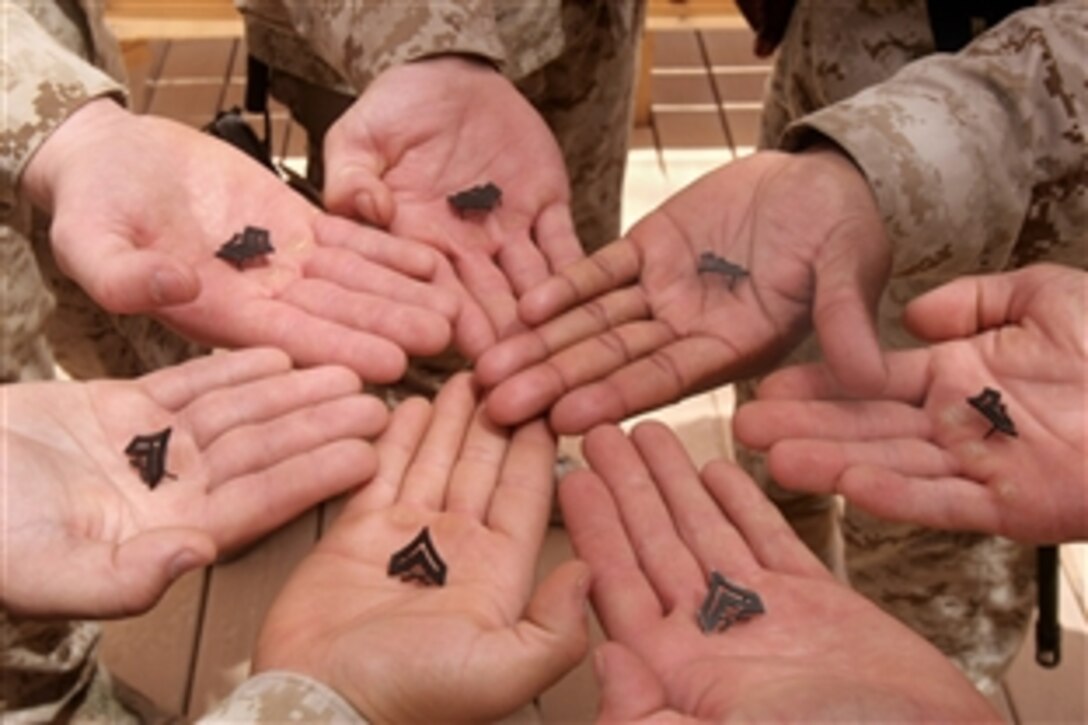 U.S. Marines hold their new ranks in their hands after being promoted, At-Taqaddum, Iraq, June 4, 2008. The Marines, assigned to the 2nd Low Altitude Air Defense Battalion, Marine Air Control Group 28, 2nd Marine Aircraft Wing, provide security for camps Taqaddum and Habbaniyah.


