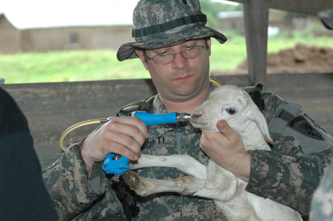 Army Staff Sgt. Anthony J. Ciotti, 404th Civil Affairs Battalion,  based in Fort Dix, N.J., administers de-worming medicine to a goat here June 18. The five-member veterinary team provided this same de-worming treatment to thousands of livestock during exercise Shared Accord 08 taking place here June 10-26.
