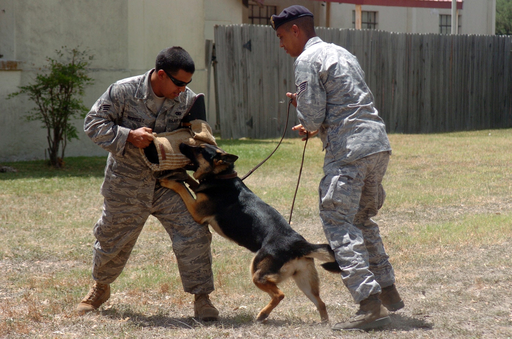 Senior Airman Estanislao Rodriguez and Staff Sgt. Calvin Jackson, both 12th Security Forces Squadron Military Working Dog handlers, and MWD Kira demonstrate one of the five progression levels dogs and their handlers use to apprehend subjects. (U.S. Air Force photo by David Terry)