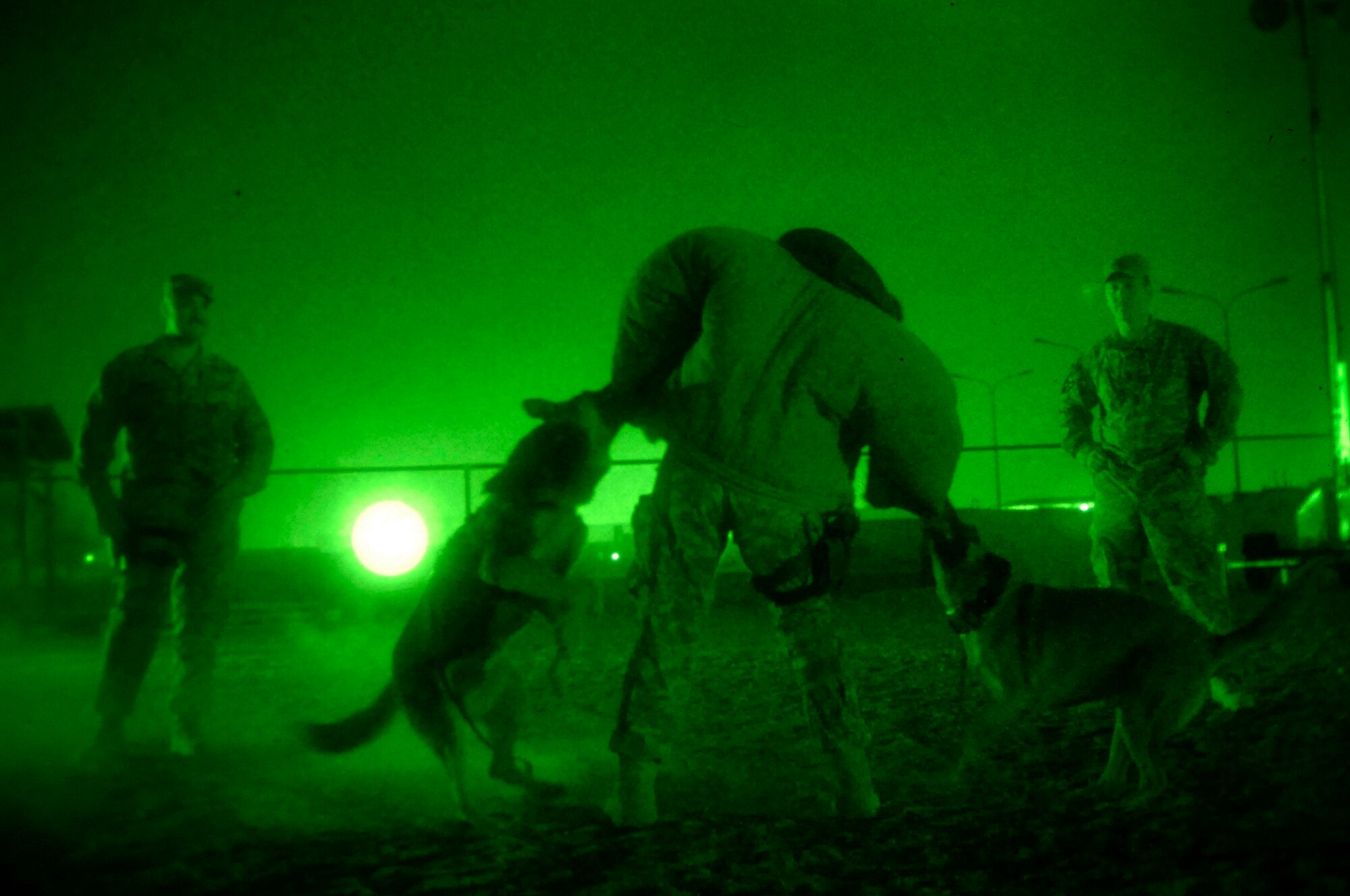 JOINT BASE BALAD, Iraq -- Timmy and Chay, military working dogs, strike as a team to take down Navy Petty Officer 1st Class Sergio Sandoval, 332nd Expeditionary Security Forces Squadron Detachment 1 dog handler, during nighttime double dog aggression training here, June 18. Training military working dogs for various scenarios is critical to ensuring their proficiency for situations that may occur during combat missions in Iraq. Petty Officer Sandoval is deployed from Naval Station San Diego. (U.S. Air Force photo/ Senior Airman Julianne Showalter)
