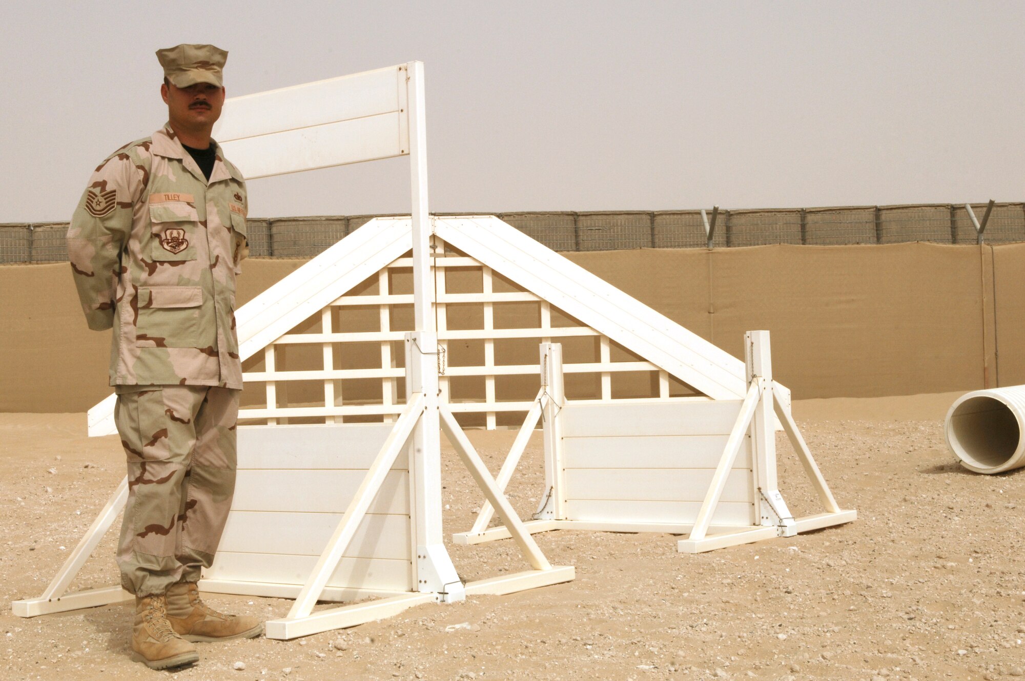 Tech. Sgt. Merl Tilley, 380th Expeditionary Security Forces Squadron was the 380th Air Expeditionary Wing Warrior of the Week for the week of June 20, 2008. 