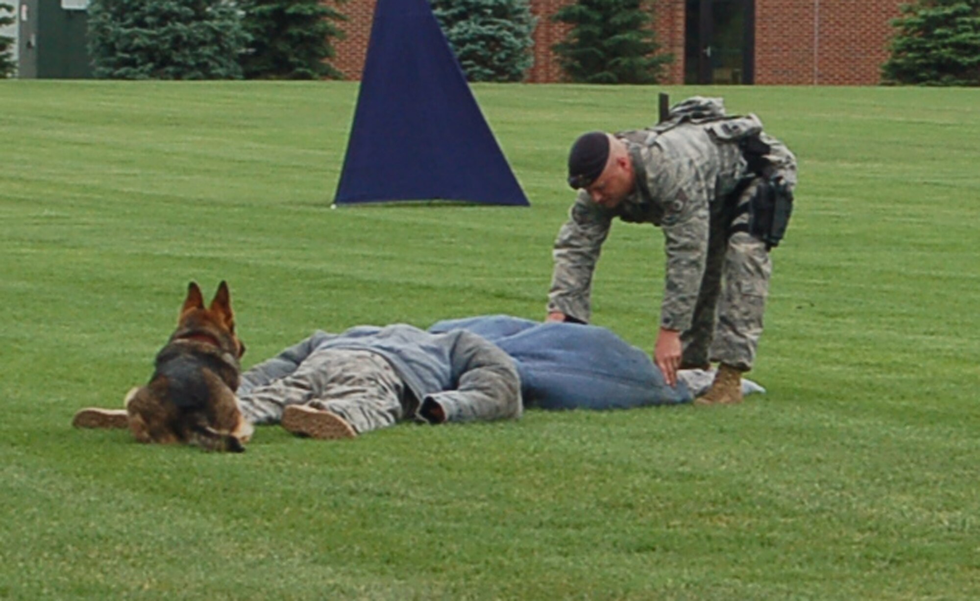 Staff Sgt. Billy Burgan, 21st Security Forces Squadron military working dog handler,  performs a search of a simulated suspect with his dog, Endy, as an overwatch on a second simulated suspect June 19.  The exercise was a part of the section’s first internal “Top Dog” competition to get military Working Dog handlers and dogs ready for several competitions in the future. (Air Force Photo/Chief Master Sgt. Michael Zirkle)