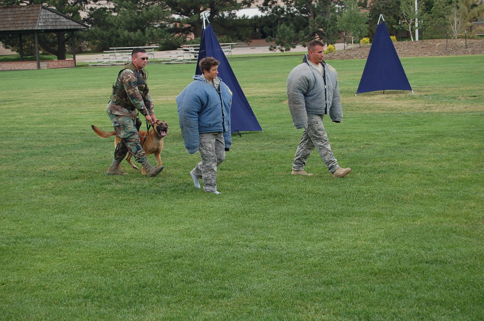 Staff Sgt. Jonathan Williams, 21st Security Forces Squadron military working dog handler, and his dog, King, escort two simulated suspects, Staff Sgts. Melinda Miller and Robert Fowler, both of the 21st SFS, back to a vehicle June 19. The exercise was a part of the section’s first internal “Top Dog” competition to get military Working Dog handlers and dogs ready for several competitions in the future. (Air Force Photo/Chief Master Sgt. Michael Zirkle)