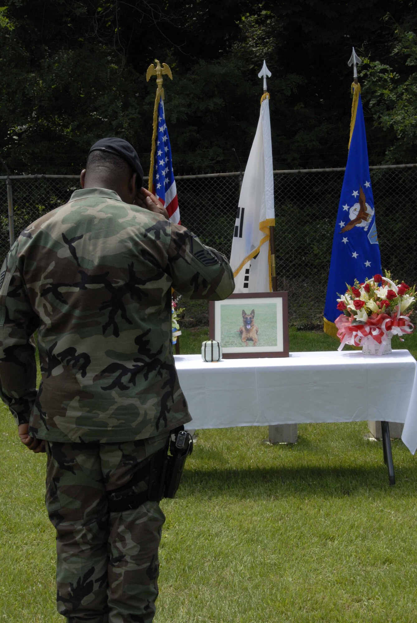 OSAN AIR BASE, Republic of Korea -- A 51st Security Forces Squadron member salutes the remains of Cain, 51st SFS Military Working Dog, during a memorial ceremony June 20. Cain succumbed to cancer earlier this month. (U.S. Air Force photo/Staff Sgt. Lakisha Croley)