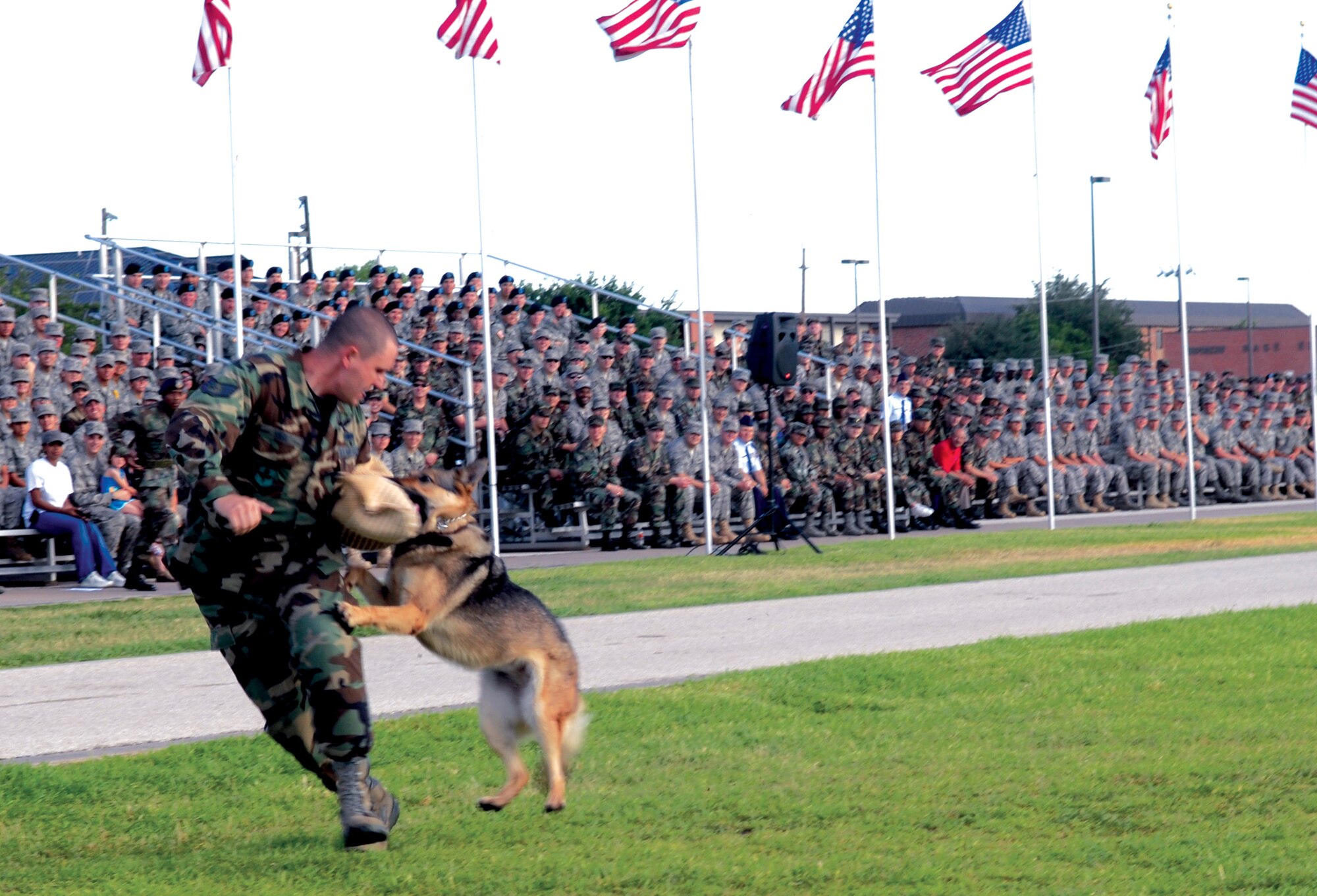 Military Working Dog Ema, 17th Security Forces Squadron, tackles Staff Sgt. Dustin Vigil during a military working dog demonstration at the Pass in Review July 20. (U.S. Air Force photo by Senior Airman Kamaile Chan)