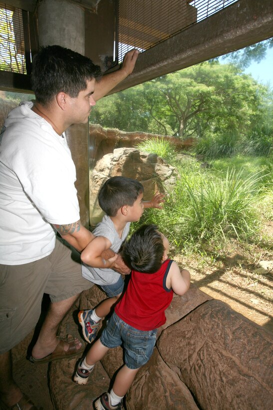 (From left to right) Coast Guard Petty Officer 2nd Class Andrew Lincoln and his sons, Reagan and Franklin search for a cheetah June 28 at the Honolulu Zoo. Lincoln and his family attended Military Appreciation Day, sponsored by the United Services Organization, the zoo and the city and county of Honolulu. Lincoln is an Operations Specialist with Coast Guard Sector, Honolulu.
