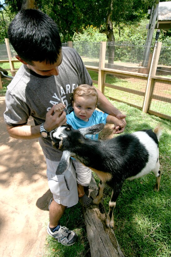 Army Chief Warrant Officer 2 Ken Lofgren and his 20-month-old son pet goats June 28 at the Honolulu Zoo's Keiki Zoo during Military Appreciation Day. The event featured numerous face painting and coloring stations for children to enjoy. Lofgren is an OH-58-D pilot with B Troop, 2-6 Cavalry.