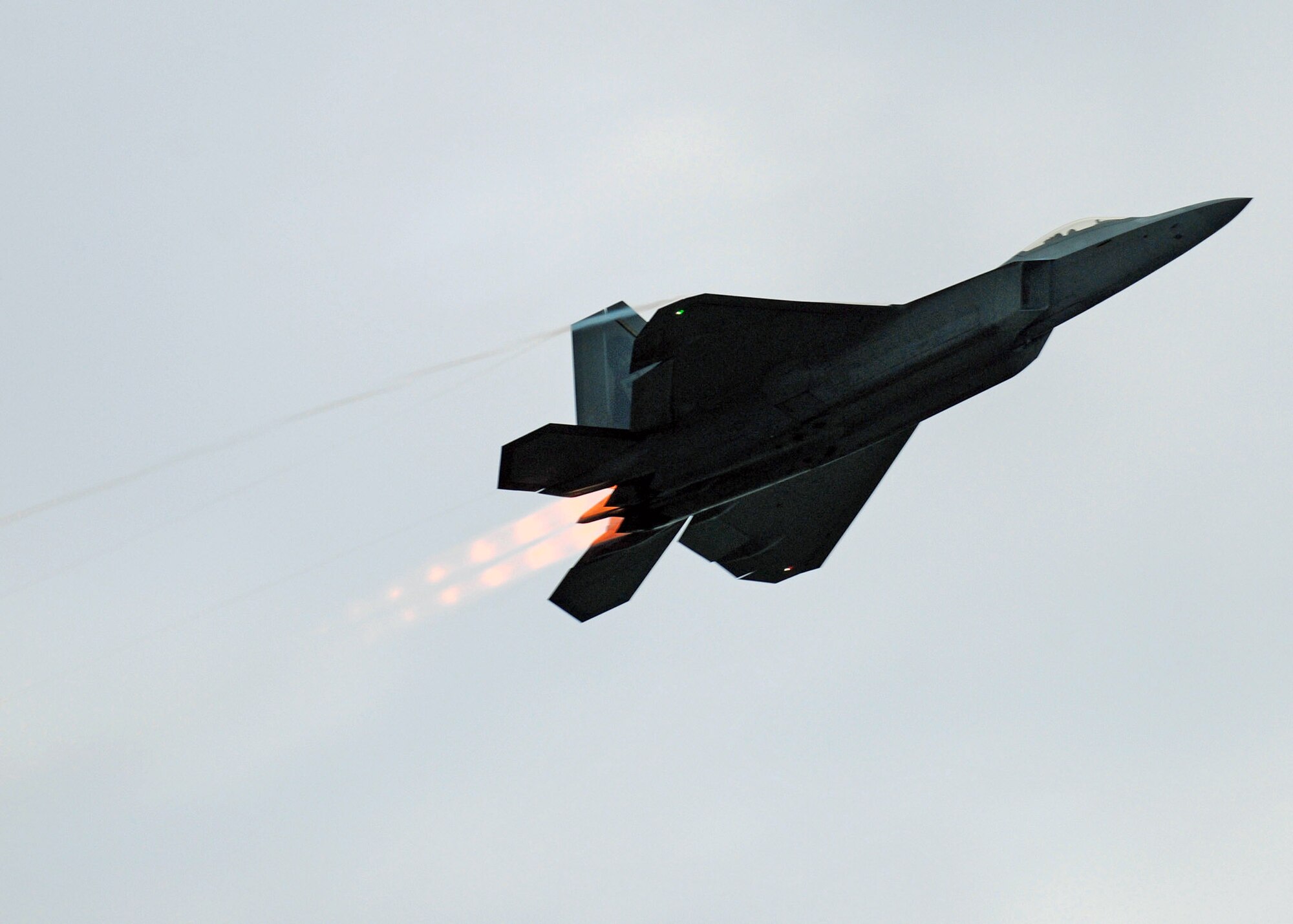 An F-22 Raptor performs a fly-by during the 4th annual Freedom's Call Tattoo June 27 on the grounds of the National Museum of the U.S. Air Force in Dayton, Ohio. More than 75,000 peole came out for the event that consisted of aircraft fly overs, food and music by the Air Force Band of Flight, Charlie Daniels Band and local performers. The F-22 is from Langley Air Force Base, Va. (U.S. Air Force photo/Staff Sgt Joshua Strang) 
