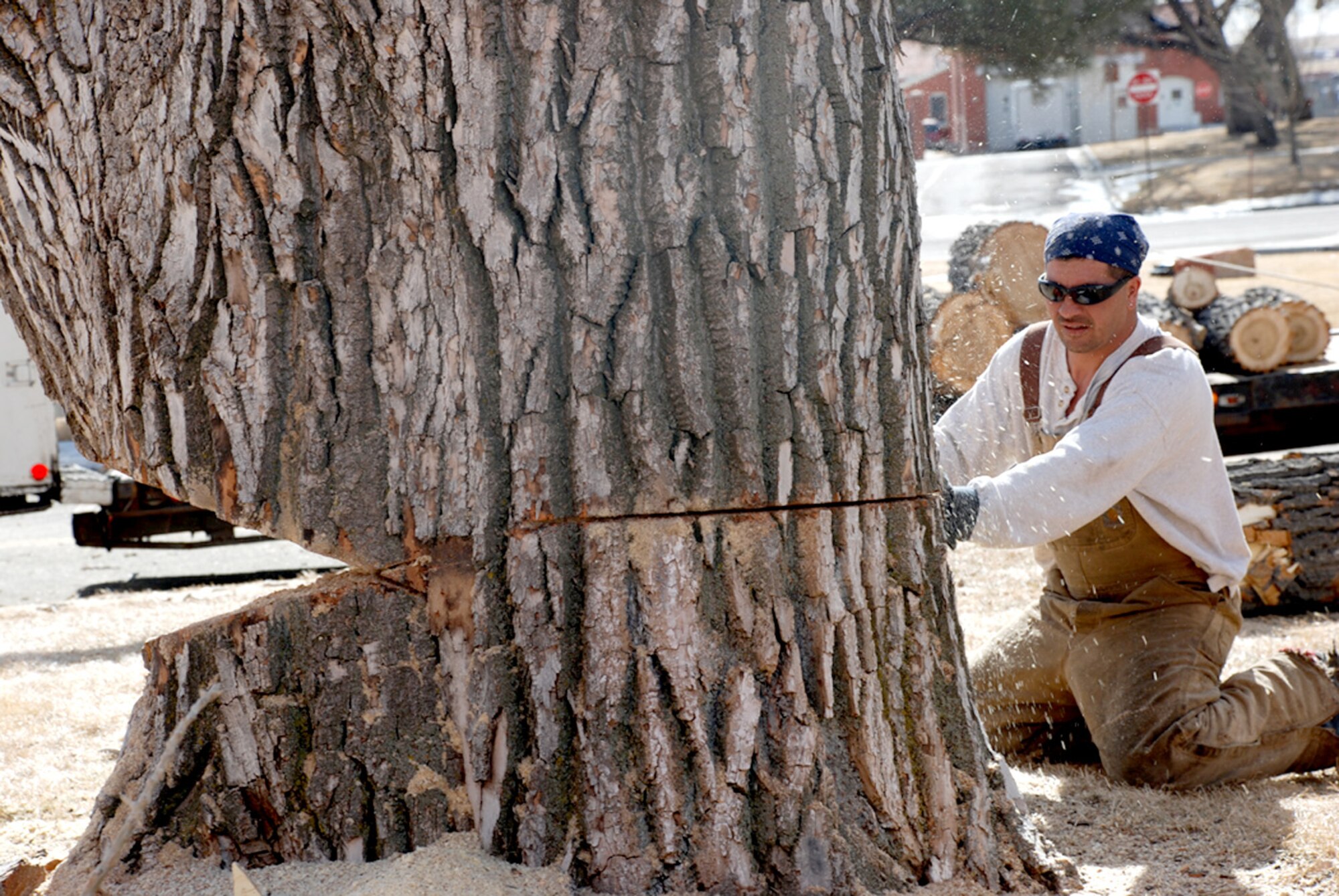 Keith Garcia, 90th Civil Engineer Squadron, makes a final cut to the trunk of a dying tree before pulling it down Feb. 21. Cutting of the tree is due to an ongoing Warren project to cut down old hazardous trees before they fall, causing personal damage (U.S. Air Force photo/Airman 1st Class Alex Martinez).
