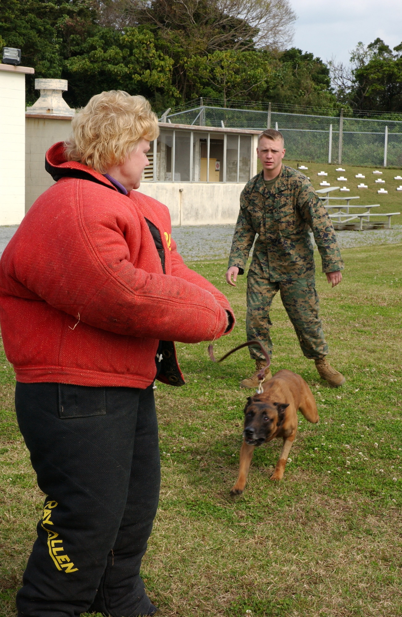 Coleen Bukowinski, wife of Col. John Bukowinski, Deputy Commander 18th Maintenance Group, prepairs for the attack of Lance Cpl. Chase Paustian's military working dog Waldo as part of the 'Shogun Look' demonstration for spouses of military members Feb. 28.  The Shogun Look Program is meant to give spouses of commanders, chiefs, and other senior leaders a closer look at the various missions units perform so they can pass on the knowledge to other spouses in their respective units. Lance Corporal Paustian is assigned with Marine Corps base Okinawa and works with other K-9 units around the island. (U.S. Air Force photo/Senior Airman Jeremy McGuffin) 