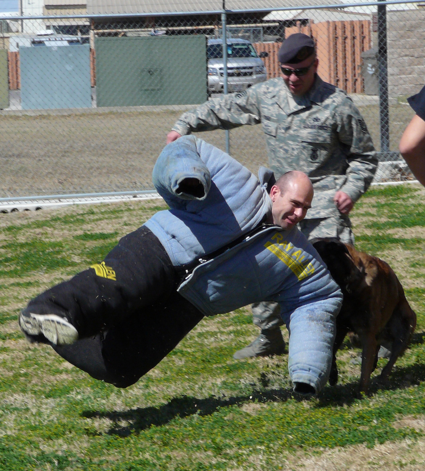 LAUGHLIN AIR FORCE BASE, Texas – Lt. Col. Stephen Browning, 47th Mission Support Group deputy commander, is taken down by military working dog Xxavier during a training demonstration.  (Contributed photo) 
