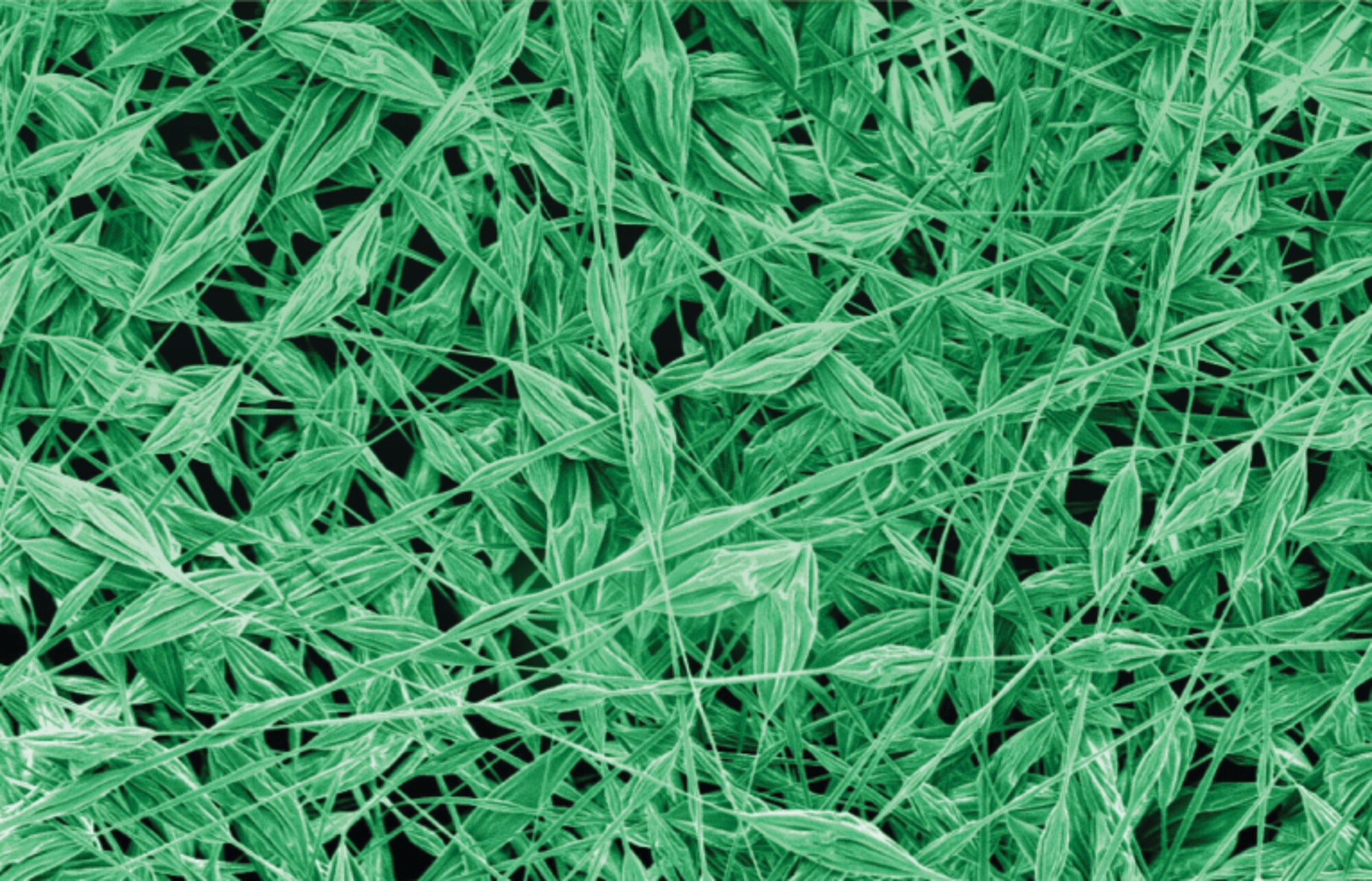 This graphic shows the magnification of microfiber composed of fluorinated polyhedral oligomeric silsesquioxanes, or FluoroPOSS, which repels both water and oil.
