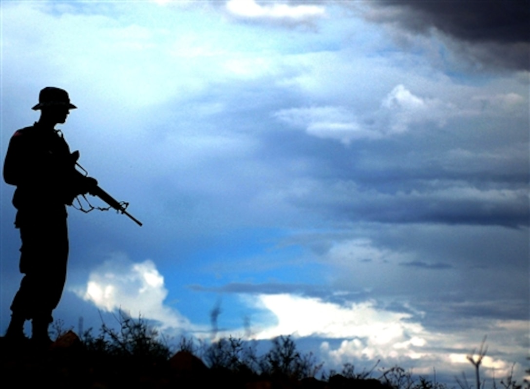 A U.S.  Army National Guard soldier assigned to the 29th Brigade Combat Team stands watch at the Mexican border, March 12, 2008. 