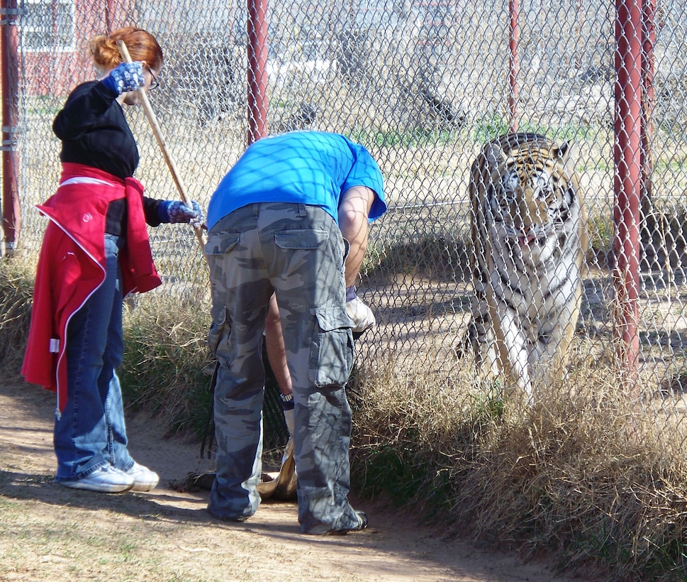 Members of the 80th Operations Support Squadron clean up around a tiger cage March 14 during the squadron's recent community service project. Twenty-five 80th OSS personnel volunteered time to help the Center for Animal Research and Education, near Bridgeport, Texas, clean up and repair a few areas of the Big Cat Habitat. (U.S. Air Force photo/Airman 1st Class Desiree Straughn)