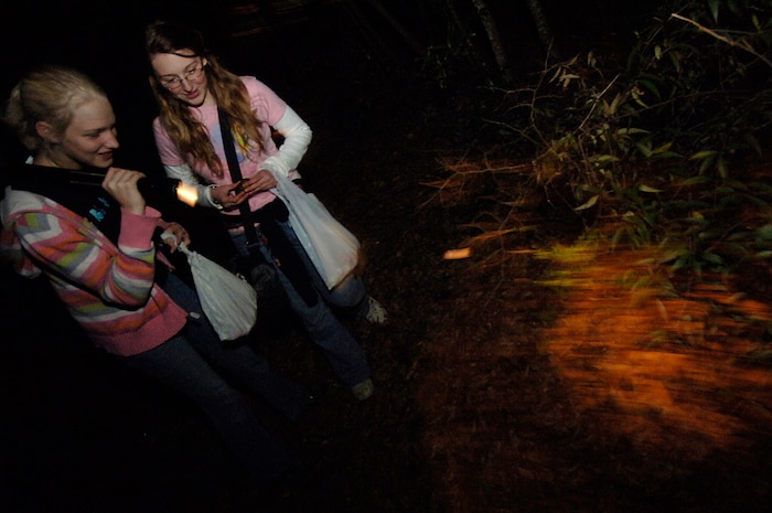 MJ Davis and Meagan Reash look for eggs during a flashlight Esater egg hunt at Youth Programs on base March 14 .  MJ, 16, is the daughter of Master Sgt. Shannon Davis, and Meagan, 16, is the daughter of Tech. Sgt. Gary Reash. (U.S. Air Force photo/Senior Airman Nicholas Pilch)