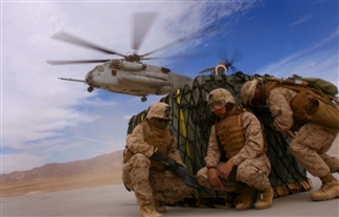 U.S. Marines wait to load a pallet onto a Sea Stallion helicopter on Marine Corps Air Ground Combat Center Twentynine Palms, Calif., March 11, 2008. The Marines, assigned to the 7th Marine Regiment, are participating in a pre-deployment desert training exercise.