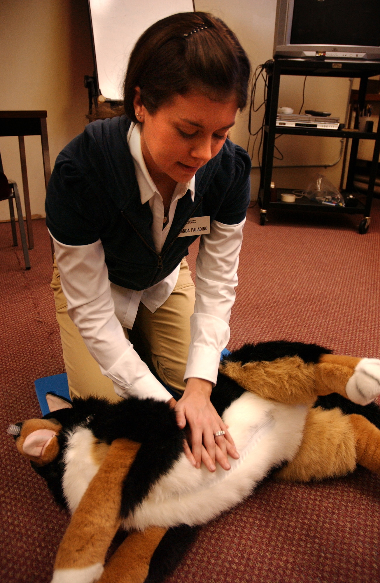 Amanda Paladino, American Red Cross station chairman volunteer, conducts training on a new animal dummy teaching device to help better understand life saving techniques for pets, March 18.  The American Red Cross offers training and information to all residents of Kadena AB as well as hold monthly blood drives to restock hospital supplies. (U.S. Air Force photo/Senior Airman Jeremy McGuffin)