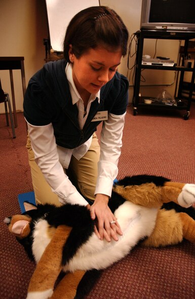 Amanda Paladino, American Red Cross station chairman volunteer, conducts training on a new animal dummy teaching device to help better understand life saving techniques for pets, March 18.  The American Red Cross offers training and information to all residents of Kadena AB as well as hold monthly blood drives to restock hospital supplies. (U.S. Air Force photo/Senior Airman Jeremy McGuffin)