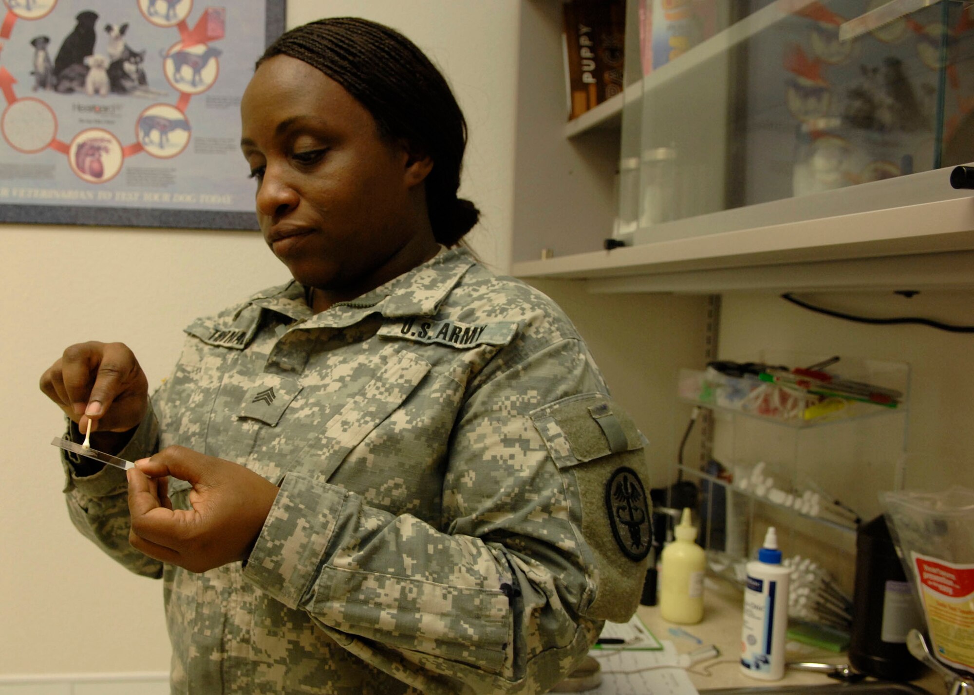 U.S. Army Sgt. Leona Thomas, vet technician, checks a dog's test sample to see if there are any bacteria at the base vet clinic on Holloman Air Force Base, N.M., March 19, 2008. The clinic offers appointments Tuesday through Thursday. (U.S. Air Force photo/Airman 1st Class Rachel A.Kocin)