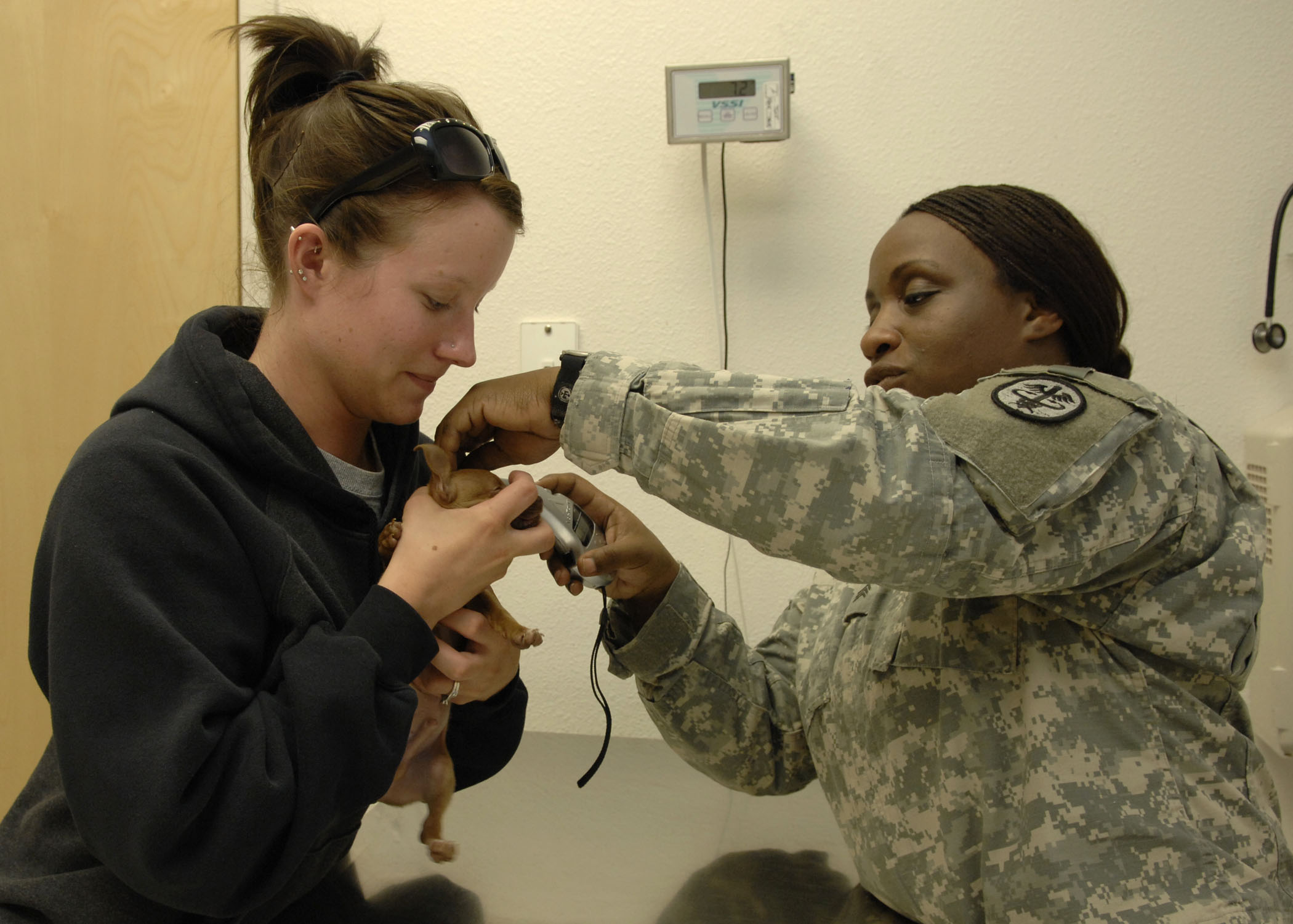 HAFB Vet clinic cares for furry Team Holloman members > Holloman Air
