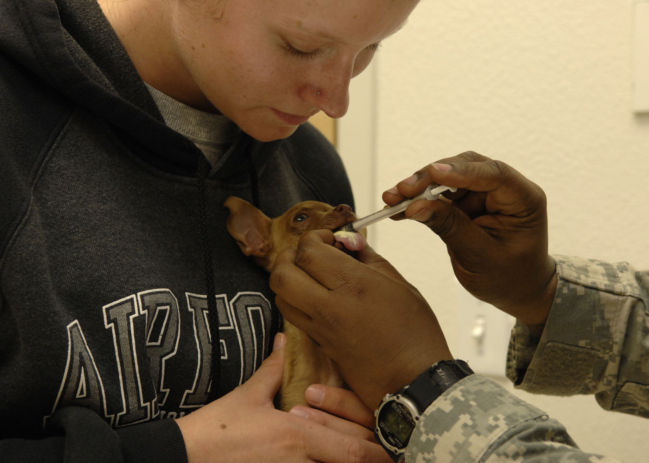 HAFB Vet clinic cares for furry Team Holloman members > Holloman Air