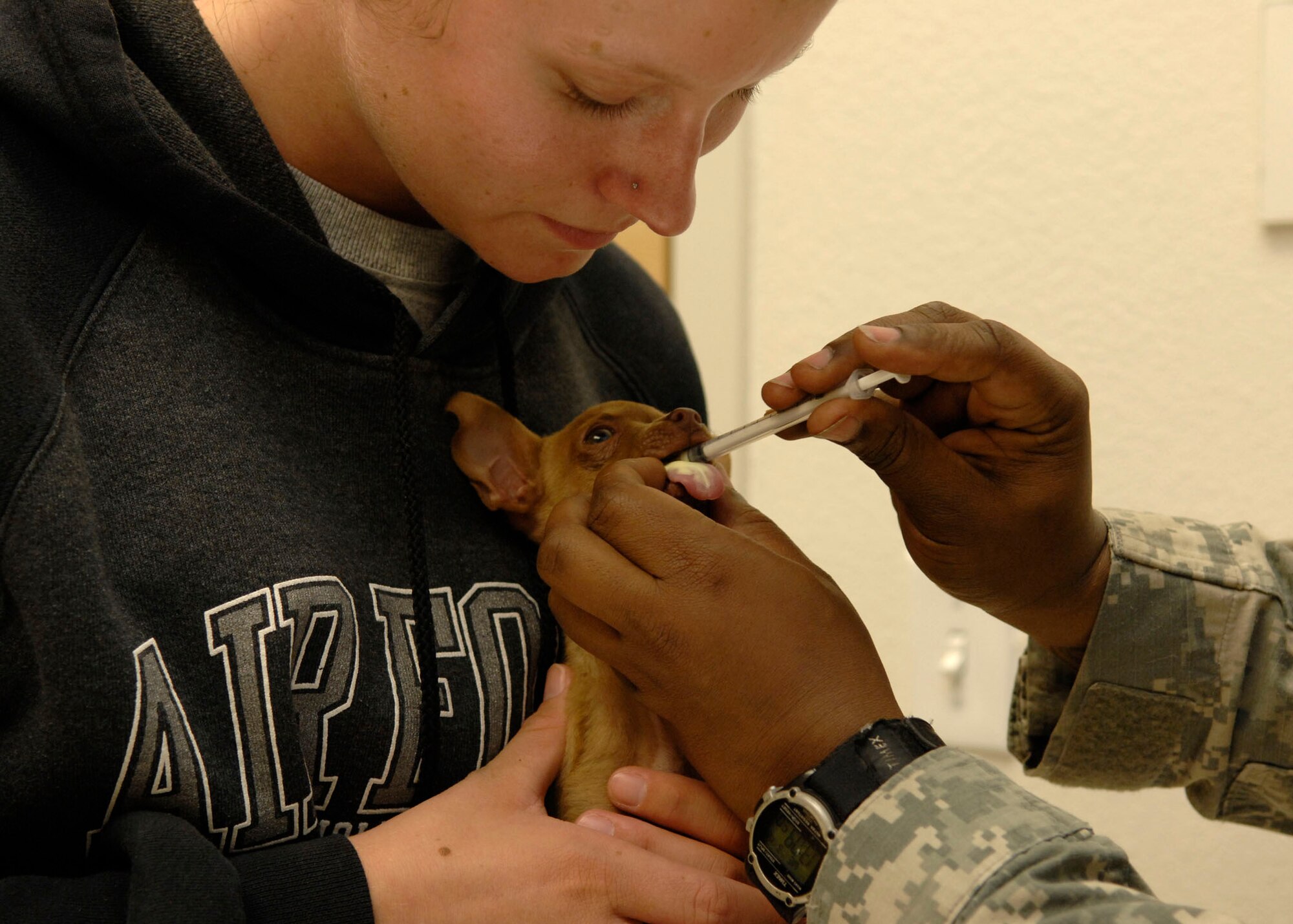 Ms. Katie Kesan holds her chihuahua as U.S. Army Sgt. Leona Thomas, vet technician, gives the dog a oral medication for heart worm at the base vet clinic on Holloman Air Force Base, N.M., March 19, 2008. The clinic offers appointments Tuesday through Thursday. (U.S. Air Force photo by Airman 1st Class Rachel A.Kocin)