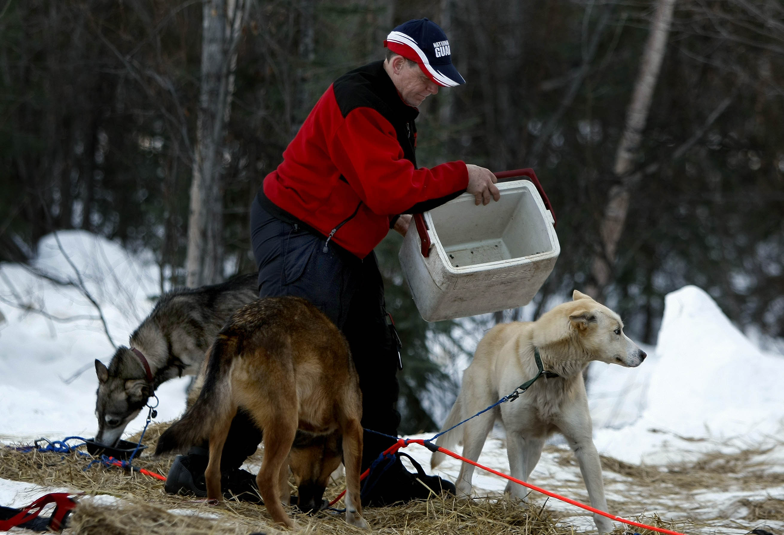 Master Sgt. Rodney Whaley feeds some of his huskies during the 2008