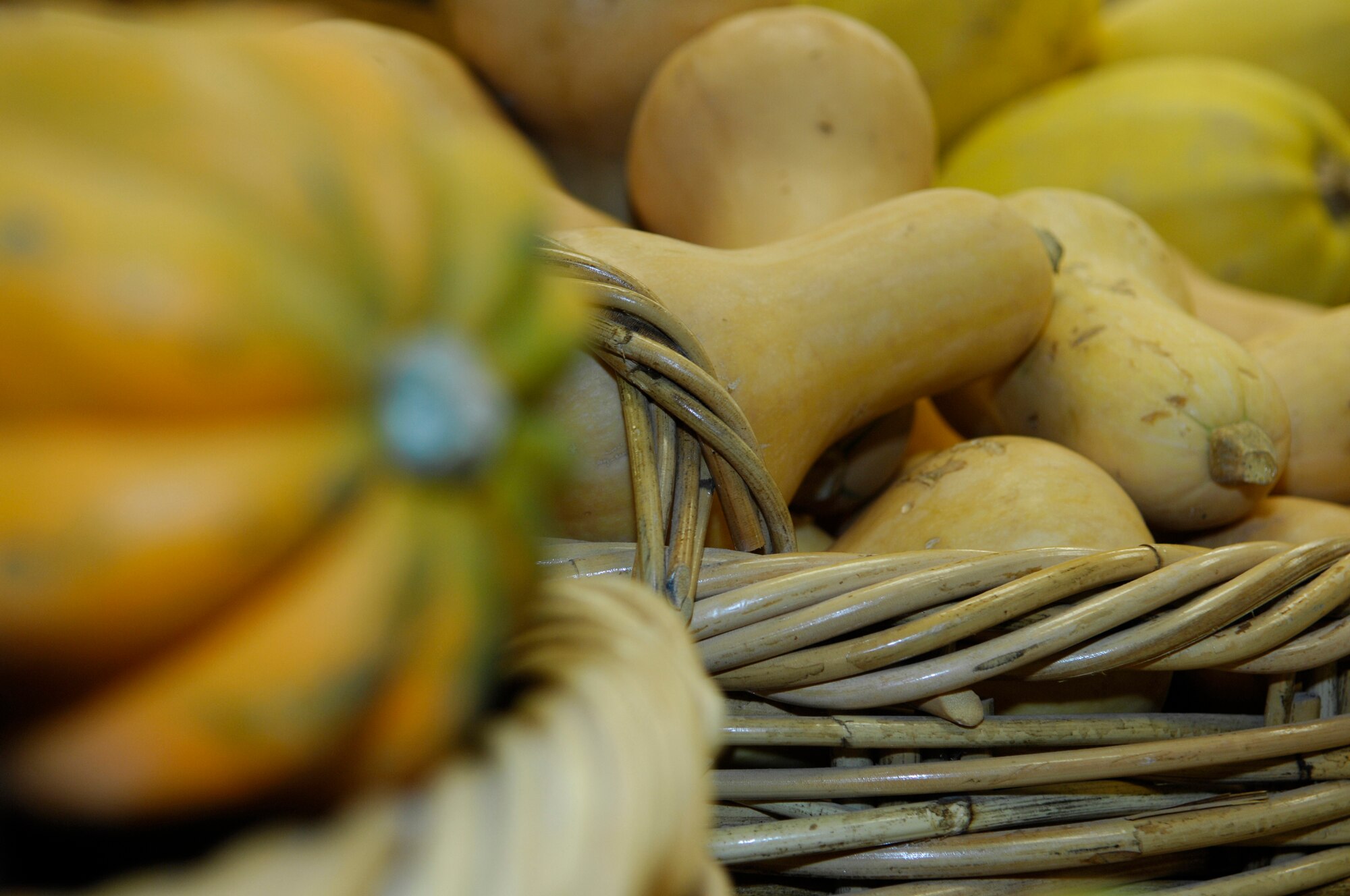 MINOT AIR FORCE BASE, N.D. – Many different types of vegetables, including a variety of squash, are grown by garden plot users at Minot Air Force Base. The garden plot season begins May 1 and runs until Oct. 15. (U.S. Air Force photo by Staff Sgt. Thomas Dow)