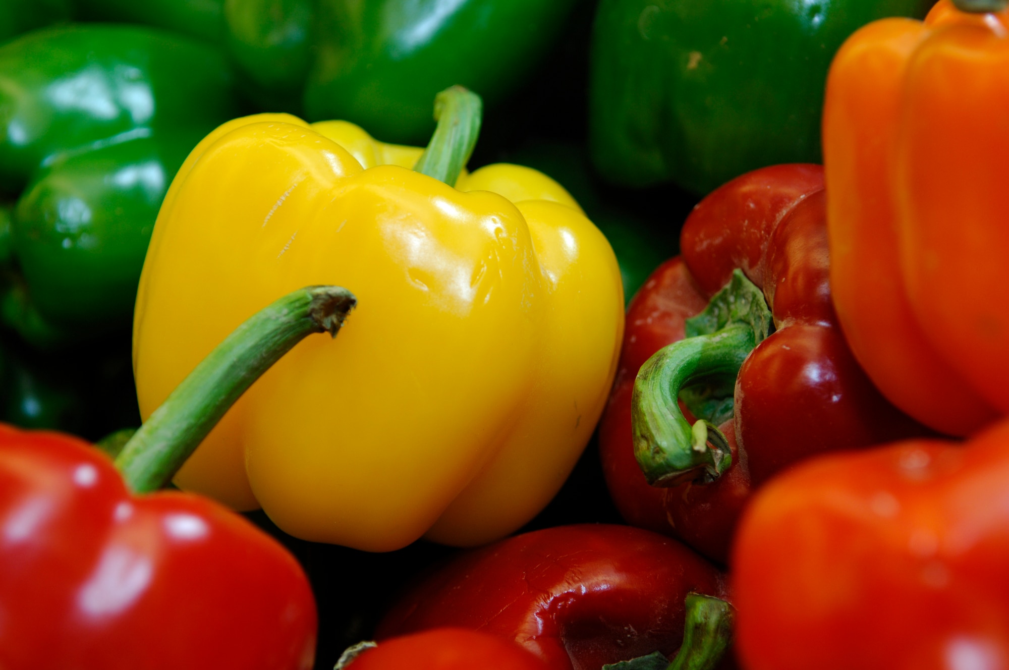 MINOT AIR FORCE BASE, N.D. -- Garden plot users at Minot Air Force Base grow a variety of vegetables during the season, including bell peppers. Garden plot season begins May 1 and runs until Oct. 15. (U.S. Air Force photo by Staff Sgt. Thomas Dow)