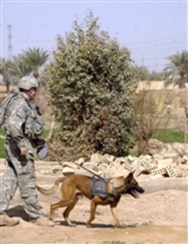A U.S. Air Force dog handler and military working dog patrol the streets of Baghdad, Iraq, on March 9, 2008.  