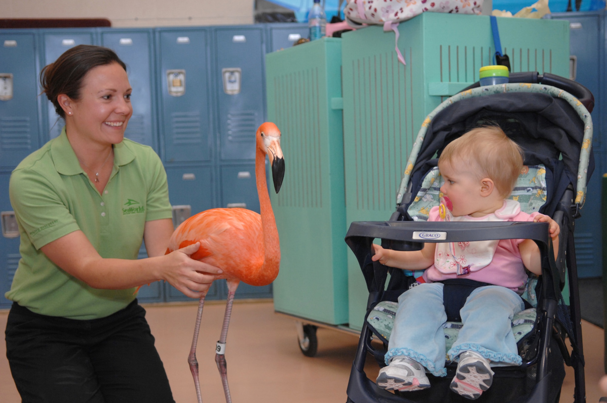 A SeaWorld Animal Ambassador Team member, introduces a Carribean flamingo to 9 month old Olivia Martin, daugther of Technical Sgt. Thomas Martin and Sarah, during a SeaWorld animal showcase at the Youth Center March 20, 2008 Nellis Air Force Base, Nev.
(U.S. Air Force Photo by/Senior Airman Larry E. Reid Jr.)
