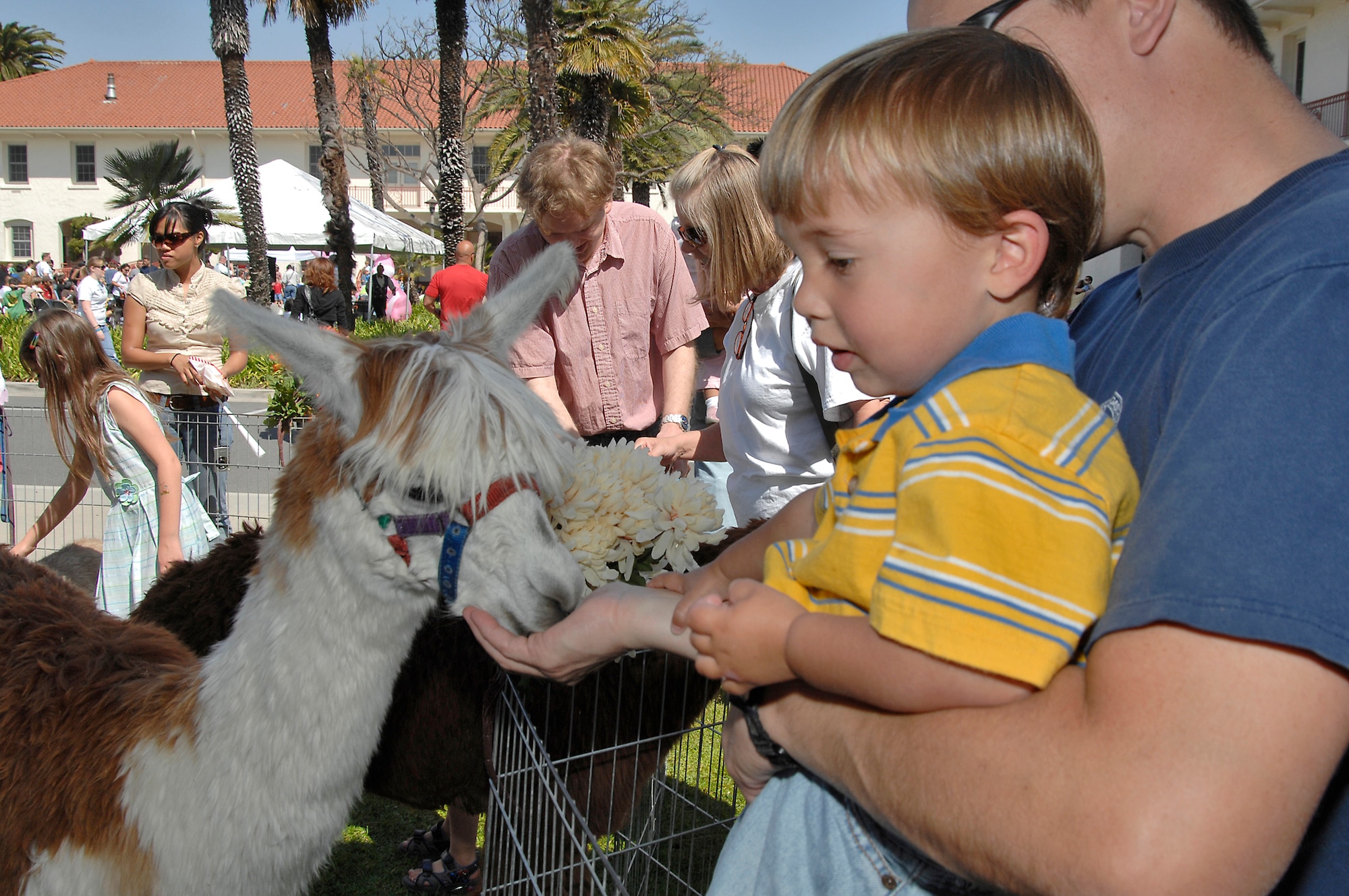Zach Hall feeds a llama. A petting zoo, magic show, Easter egg hunt and visit from the Easter Bunny were all part of the annual Easter celebration on Fort MacArthur March 22. (Photo by Joe Juarez)