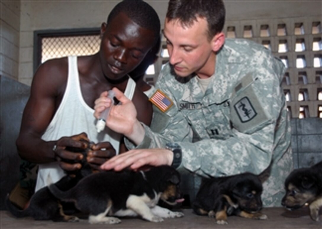 U.S. Army Capt. Brian Smith administers a dose of medication to one of nine puppies in a litter brought in during a humanitarian aid clinic in Monrovia, Liberia, March 24, 2008, sponsored by Project HOPE and Africa Partnership Station. Smith is a veterinarian assigned to the 64th Medical Battalion, attached to Africa Partnership Station.