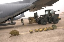 Members from Aerial Delivery of the 353rd Operations Support Squadron load an aircraft at Daegu Air Base, Korea.  Airdrops were inspected during the 353rd Special Operations Group?s operational readiness inspection.  The group is stationed at Kadena Air Base, Japan.                                