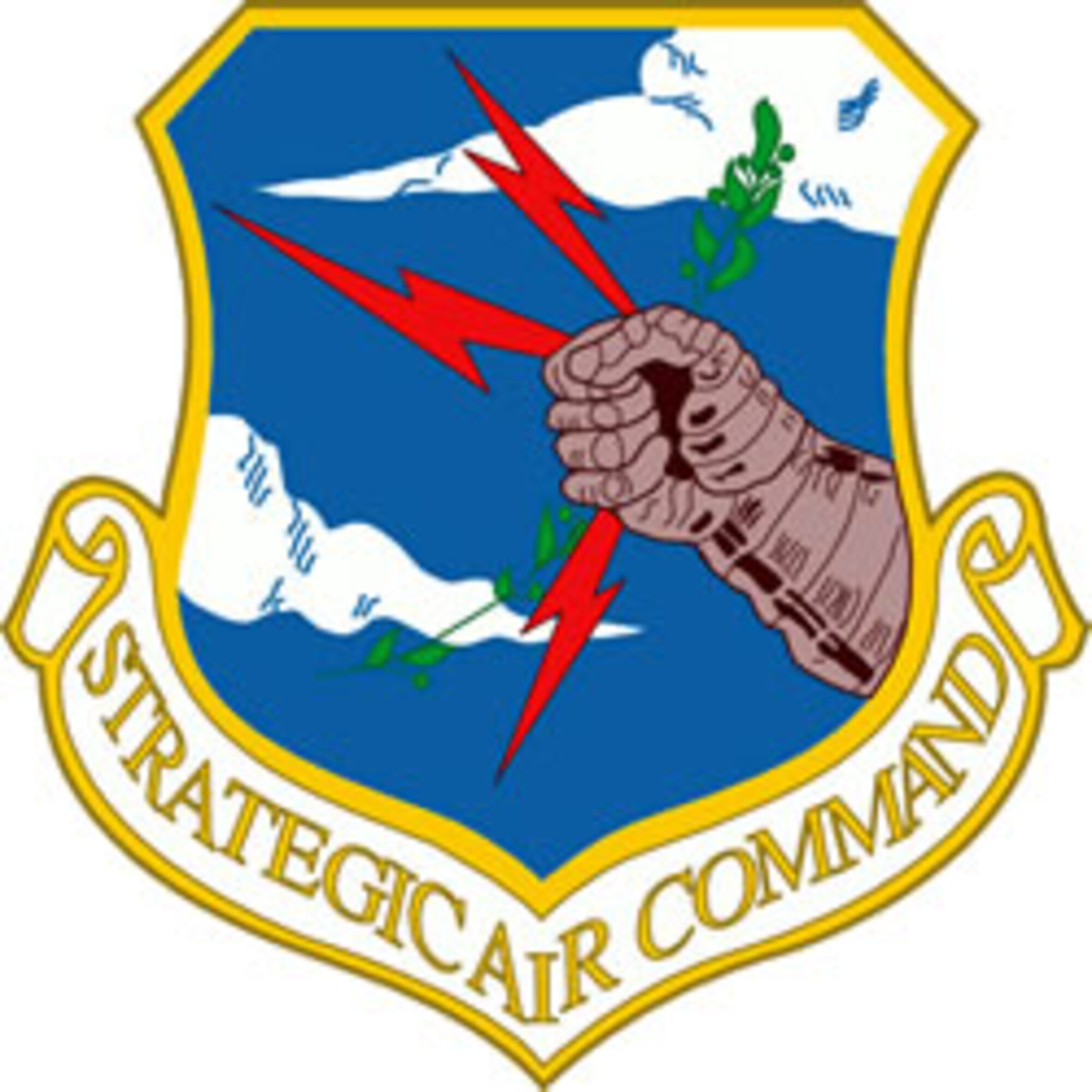 SAC Insignia