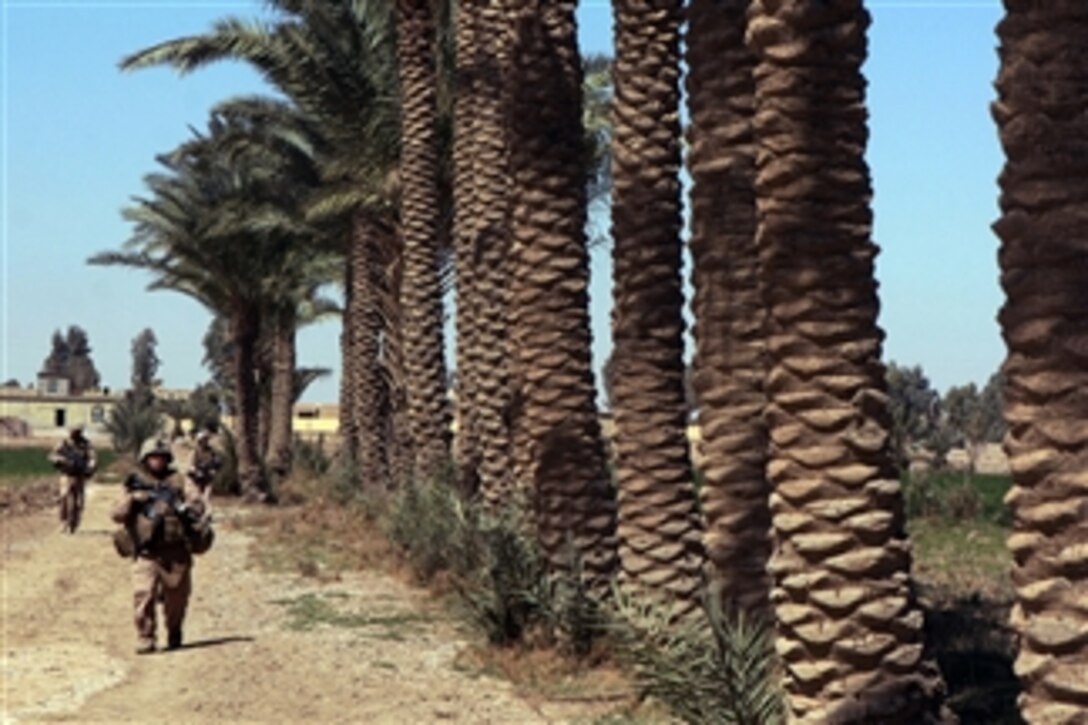 U.S. Marines and Iraqi police officers walk down a road edged with date palms as they patrol on foot outside of Jebadin, Iraq, on March 17, 2008.  The Marines are attached to Foxtrot Company, 2nd Battalion, 3rd Marine Regiment, Regimental Combat Team 1.  